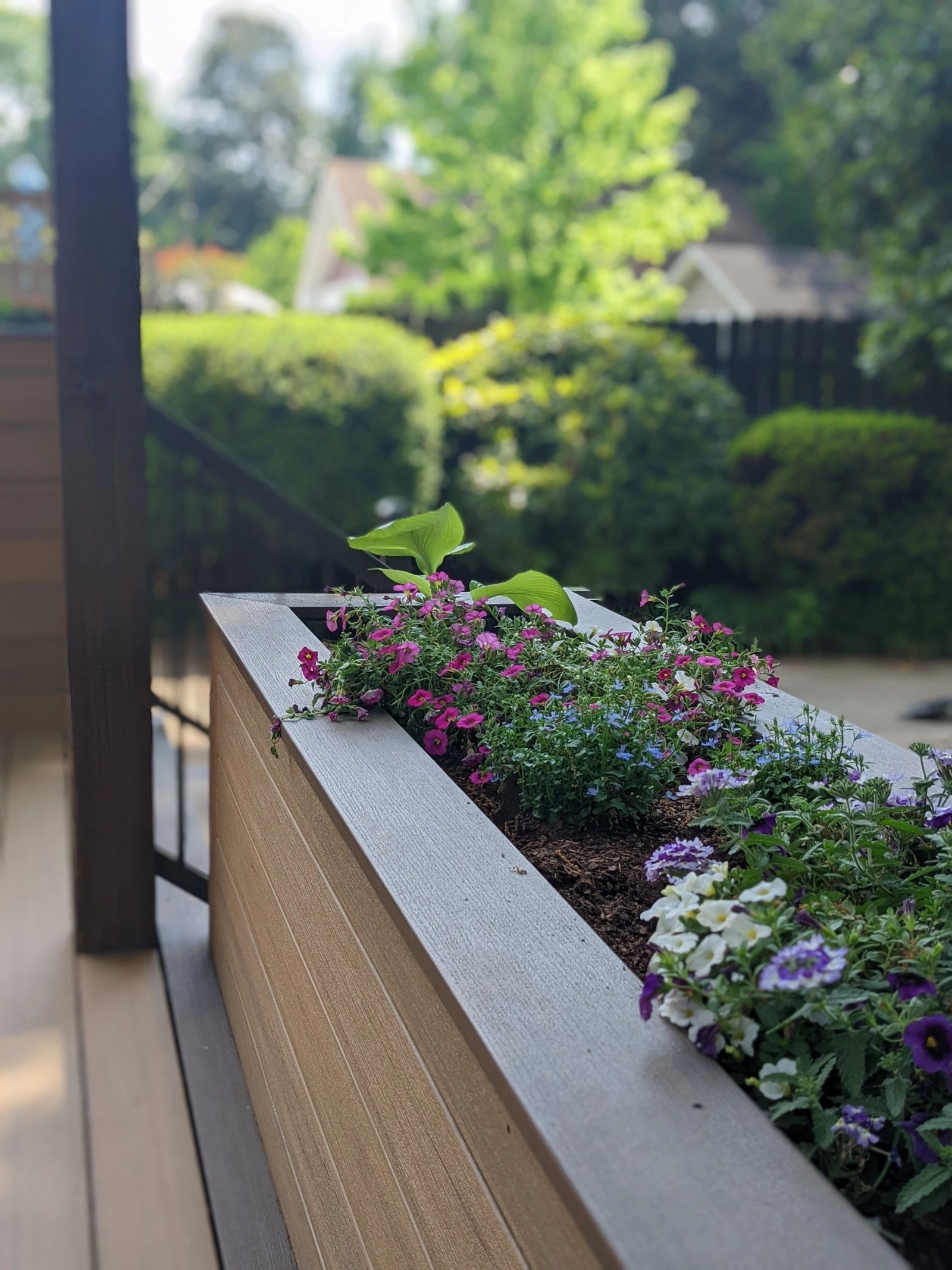 Standard deck project in Larchmont/Edgewater, Norfolk